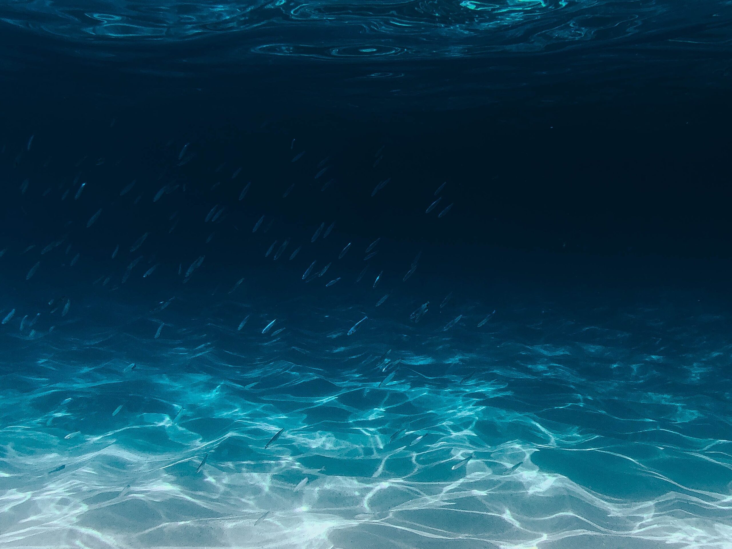 Our Oceans